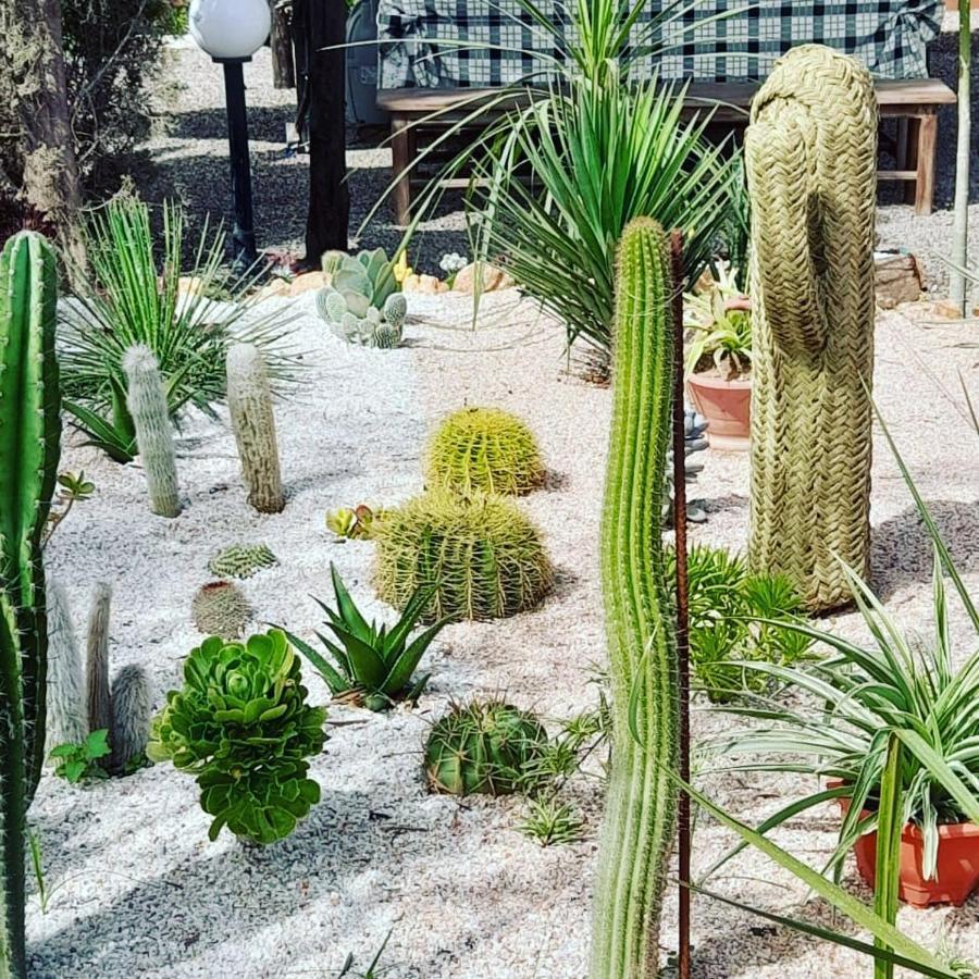 Petit paradis Apartment Sidi Bibi Bagian luar foto